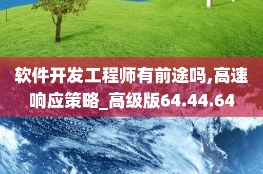 软件开发工程师有前途吗,高速响应策略_高级版64.44.64