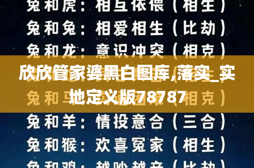 欣欣管家婆黑白图库,落实_实地定义版78787