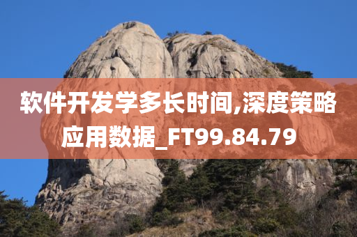 软件开发学多长时间,深度策略应用数据_FT99.84.79