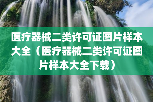 医疗器械二类许可证图片样本大全（医疗器械二类许可证图片样本大全下载）