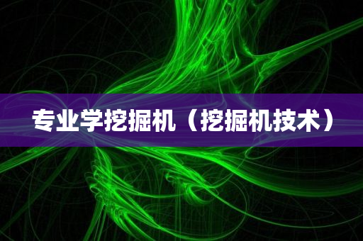 专业学挖掘机（挖掘机技术）