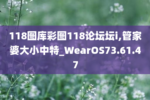 118图库彩图118论坛坛i,管家婆大小中特_WearOS73.61.47