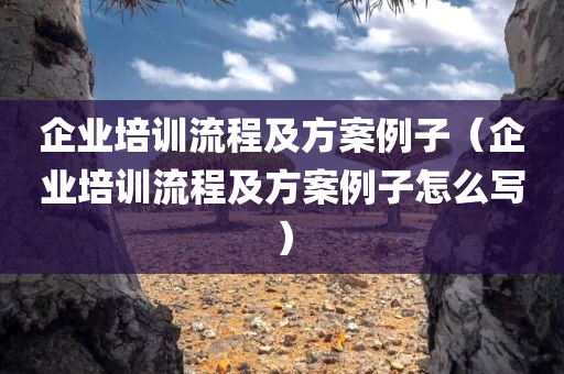 企业培训流程及方案例子（企业培训流程及方案例子怎么写）