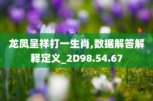 龙凤呈祥打一生肖,数据解答解释定义_2D98.54.67