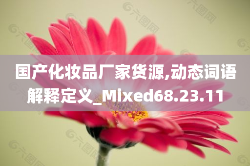 国产化妆品厂家货源,动态词语解释定义_Mixed68.23.11