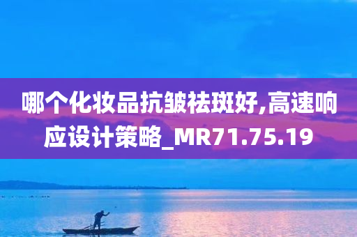 哪个化妆品抗皱祛斑好,高速响应设计策略_MR71.75.19