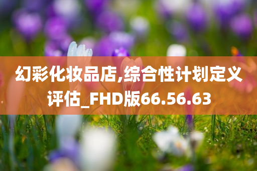 幻彩化妆品店,综合性计划定义评估_FHD版66.56.63