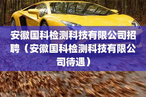 安徽国科检测科技有限公司招聘（安徽国科检测科技有限公司待遇）