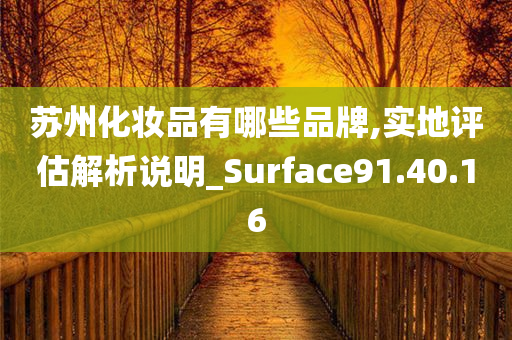 苏州化妆品有哪些品牌,实地评估解析说明_Surface91.40.16