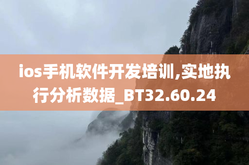 ios手机软件开发培训,实地执行分析数据_BT32.60.24