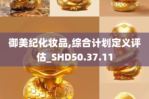 御美纪化妆品,综合计划定义评估_SHD50.37.11