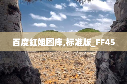 百度红姐图库,标准版_FF45