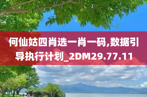 何仙姑四肖选一肖一码,数据引导执行计划_2DM29.77.11