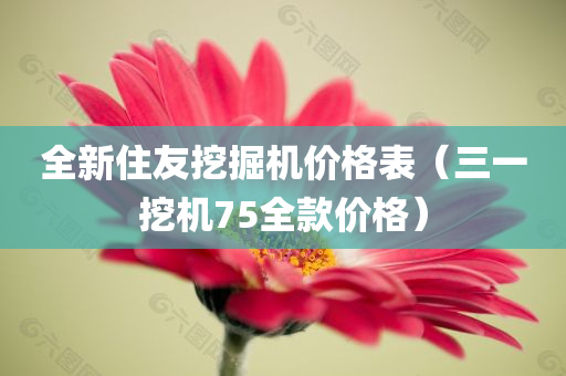 全新住友挖掘机价格表（三一挖机75全款价格）