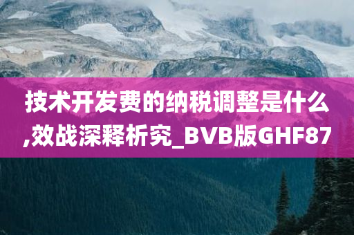 技术开发费的纳税调整是什么,效战深释析究_BVB版GHF87