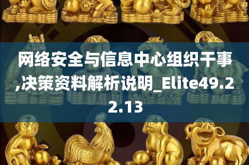 网络安全与信息中心组织干事,决策资料解析说明_Elite49.22.13