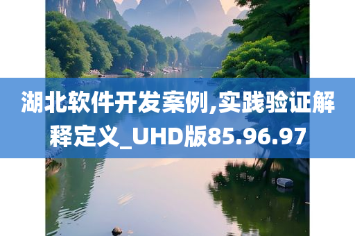 湖北软件开发案例,实践验证解释定义_UHD版85.96.97