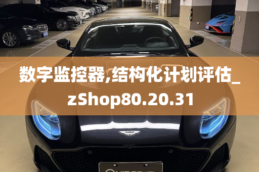 数字监控器,结构化计划评估_zShop80.20.31