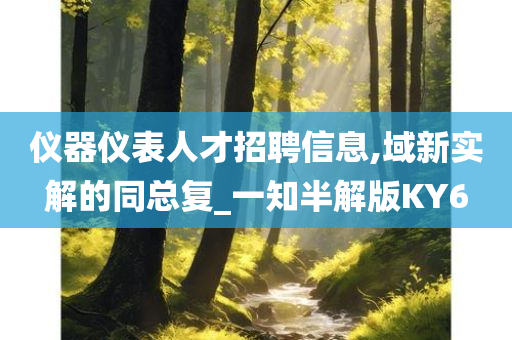 仪器仪表人才招聘信息,域新实解的同总复_一知半解版KY6