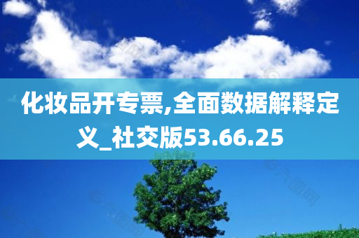 化妆品开专票,全面数据解释定义_社交版53.66.25