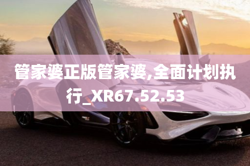 管家婆正版管家婆,全面计划执行_XR67.52.53