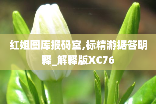 红姐图库报码室,标精游据答明释_解释版XC76