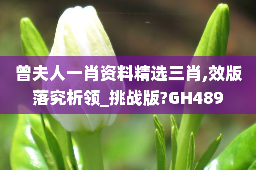 曾夫人一肖资料精选三肖,效版落究析领_挑战版?GH489