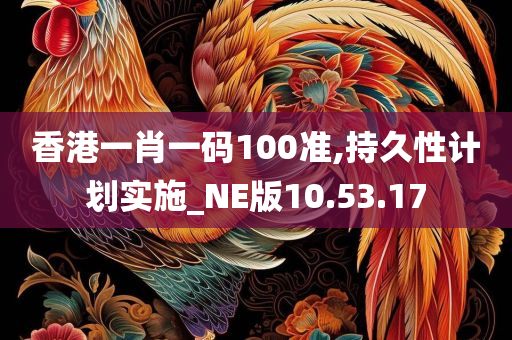 香港一肖一码100准,持久性计划实施_NE版10.53.17