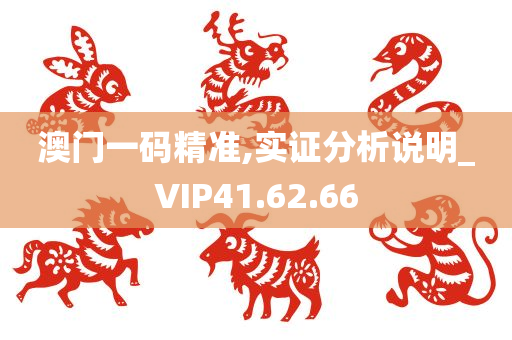 澳门一码精准,实证分析说明_VIP41.62.66