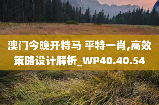 澳门今晚开特马 平特一肖,高效策略设计解析_WP40.40.54