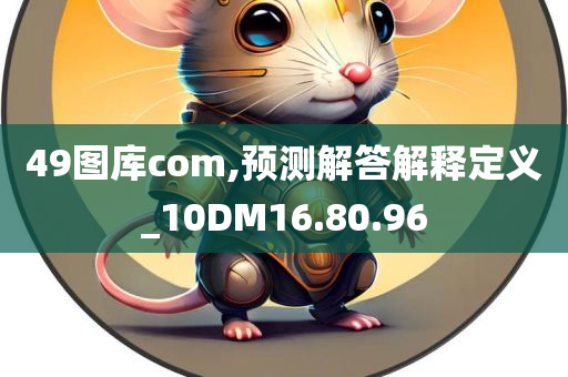 49图库com,预测解答解释定义_10DM16.80.96