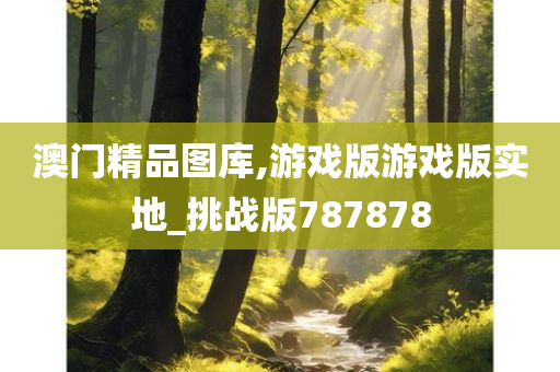 澳门精品图库,游戏版游戏版实地_挑战版787878