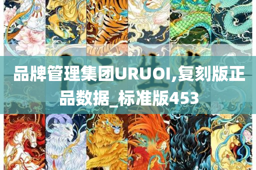 品牌管理集团URUOI,复刻版正品数据_标准版453