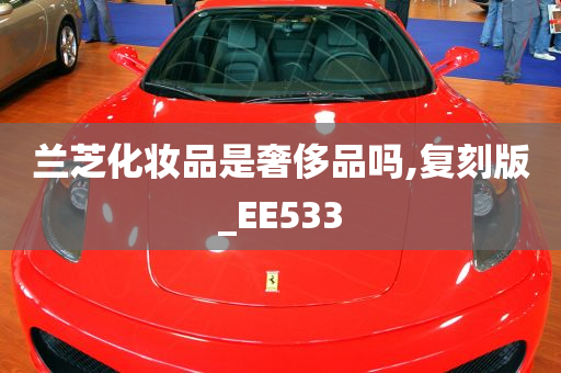 兰芝化妆品是奢侈品吗,复刻版_EE533