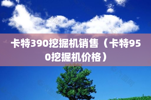 卡特390挖掘机销售（卡特950挖掘机价格）