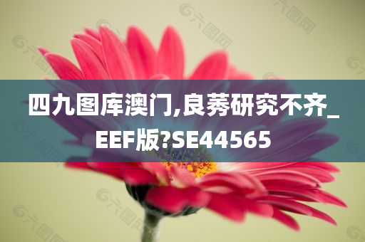 四九图库澳门,良莠研究不齐_EEF版?SE44565