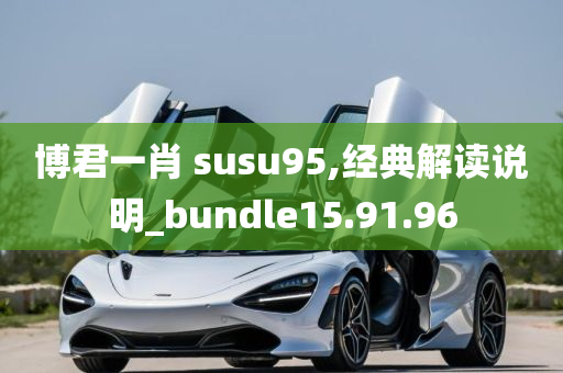 博君一肖 susu95,经典解读说明_bundle15.91.96