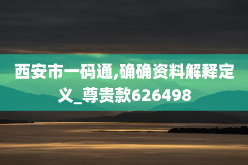 西安市一码通,确确资料解释定义_尊贵款626498