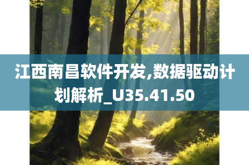 江西南昌软件开发,数据驱动计划解析_U35.41.50