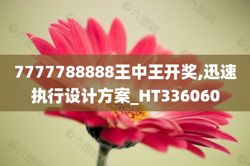 7777788888王中王开奖,迅速执行设计方案_HT336060