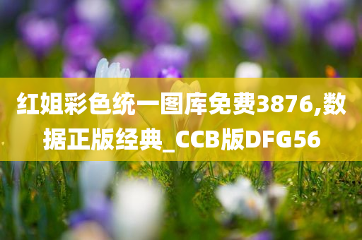 红姐彩色统一图库免费3876,数据正版经典_CCB版DFG56