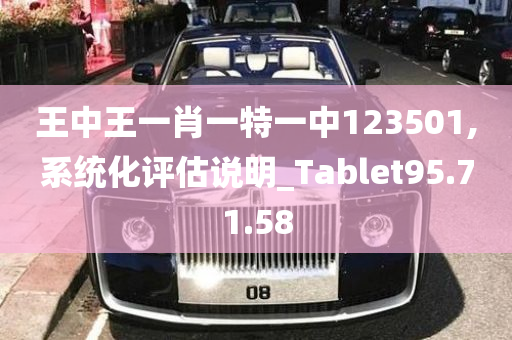 王中王一肖一特一中123501,系统化评估说明_Tablet95.71.58