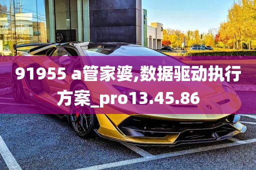 91955 a管家婆,数据驱动执行方案_pro13.45.86