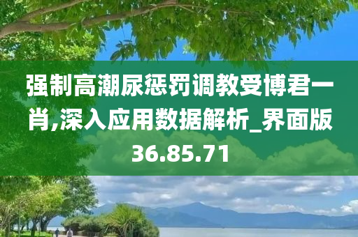 强制高潮尿惩罚调教受博君一肖,深入应用数据解析_界面版36.85.71