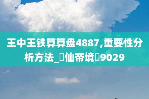 王中王铁算算盘4887,重要性分析方法_‌仙帝境‌9029