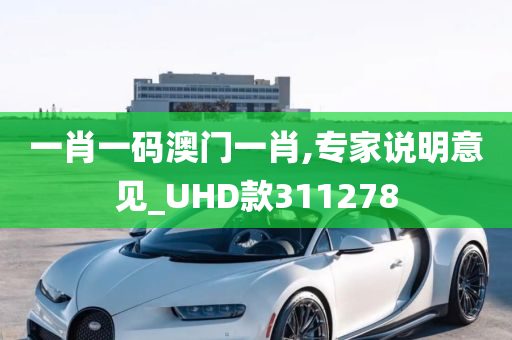 一肖一码澳门一肖,专家说明意见_UHD款311278