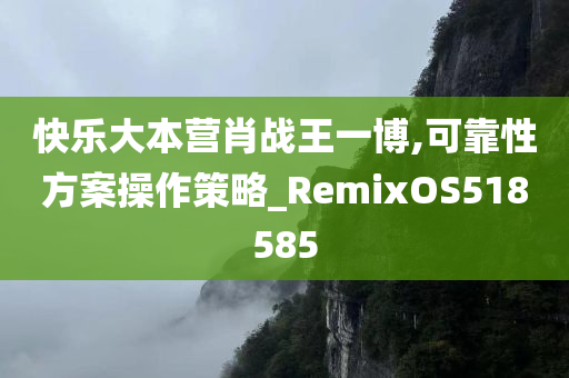 快乐大本营肖战王一博,可靠性方案操作策略_RemixOS518585