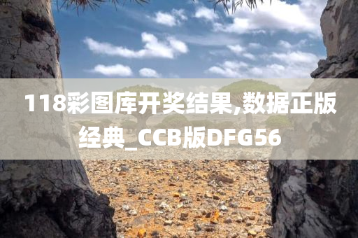 118彩图库开奖结果,数据正版经典_CCB版DFG56