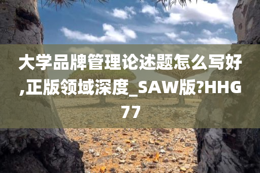 大学品牌管理论述题怎么写好,正版领域深度_SAW版?HHG77