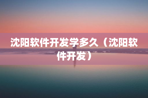 沈阳软件开发学多久（沈阳软件开发）